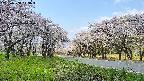 takano1-20250508113017.jpg