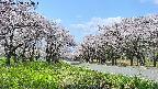 takano1-20250508114017.jpg