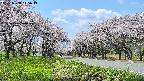 takano1-20250508115015.jpg