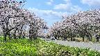 takano1-20250508120017.jpg