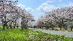takano1-20250508121017.jpg