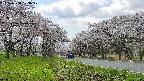 takano1-20250508123018.jpg