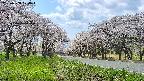 takano1-20250508124017.jpg