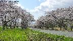 takano1-20250508125015.jpg
