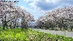 takano1-20250508130015.jpg