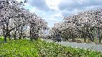 takano1-20250508131015.jpg