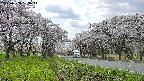 takano1-20250508133015.jpg