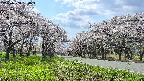 takano1-20250508134017.jpg