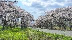 takano1-20250508135016.jpg