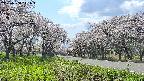 takano1-20250508141017.jpg