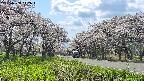 takano1-20250508142016.jpg