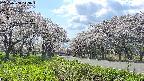 takano1-20250508143018.jpg