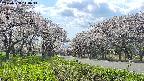 takano1-20250508144016.jpg