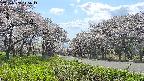 takano1-20250508145015.jpg