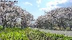 takano1-20250508150017.jpg