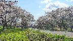 takano1-20250508151016.jpg