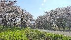 takano1-20250508154018.jpg