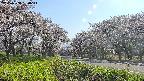 takano1-20250508160015.jpg