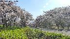 takano1-20250508161015.jpg