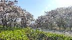 takano1-20250508162017.jpg