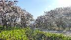 takano1-20250508163018.jpg