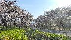 takano1-20250508164017.jpg
