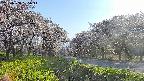 takano1-20250508165015.jpg