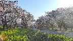 takano1-20250508170017.jpg