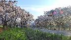 takano1-20250508173016.jpg