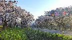 takano1-20250508174017.jpg