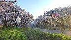takano1-20250508175016.jpg