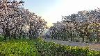 takano1-20250508180017.jpg