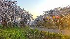 takano1-20250508181018.jpg