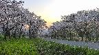 takano1-20250508182016.jpg