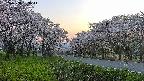 takano1-20250508183016.jpg
