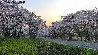 takano1-20250508184015.jpg