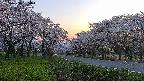 takano1-20250508185017.jpg