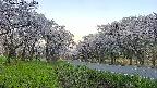 takano1-20250509051017.jpg