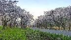 takano1-20250509052015.jpg
