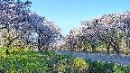 takano1-20250509054016.jpg