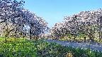 takano1-20250509055016.jpg