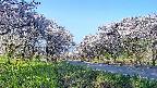 takano1-20250509061015.jpg