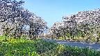 takano1-20250509062017.jpg