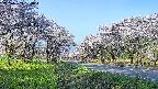 takano1-20250509064014.jpg