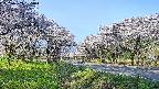 takano1-20250509065017.jpg