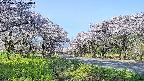 takano1-20250509070017.jpg