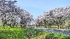 takano1-20250509071017.jpg