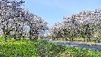takano1-20250509072016.jpg