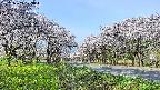 takano1-20250509073016.jpg