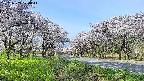 takano1-20250509074015.jpg